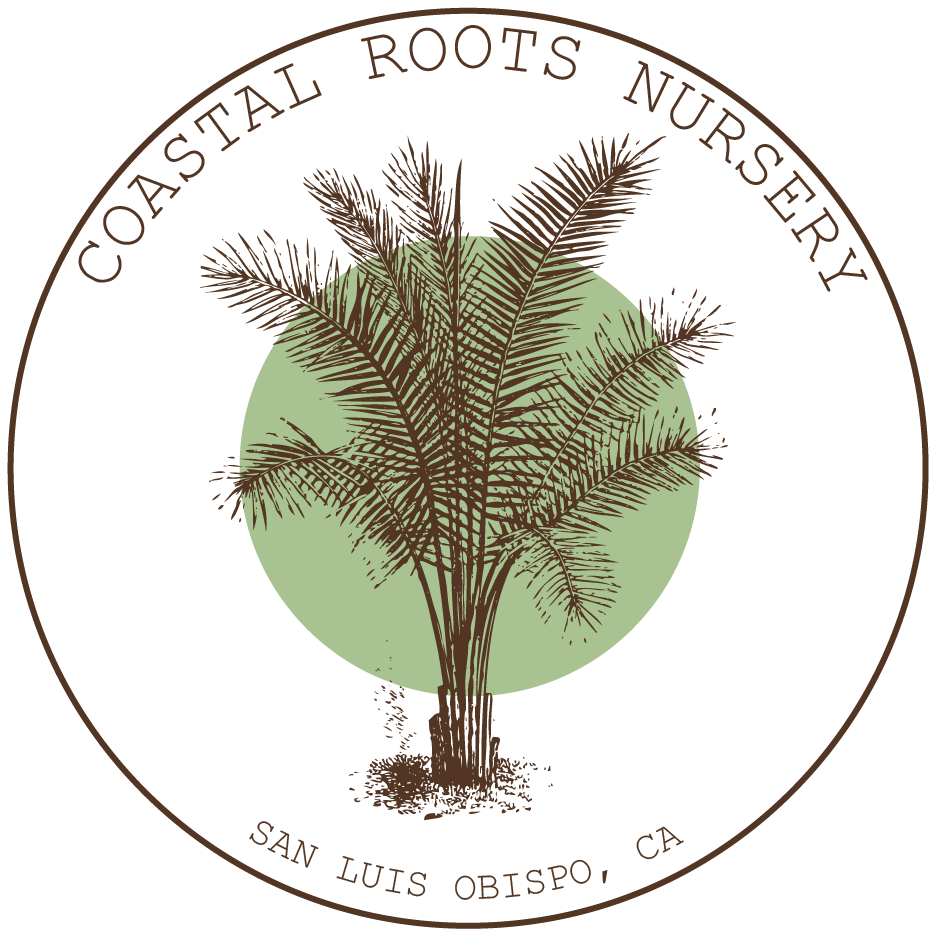 Coastal Roots Nursery Logo.