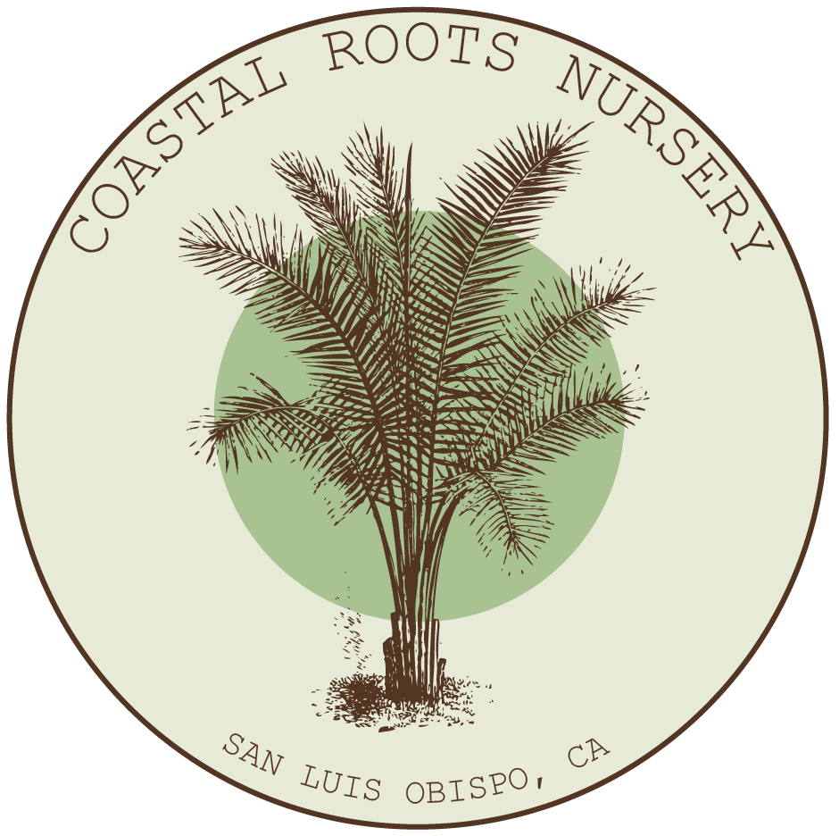 Coastal Roots Nursery Logo.