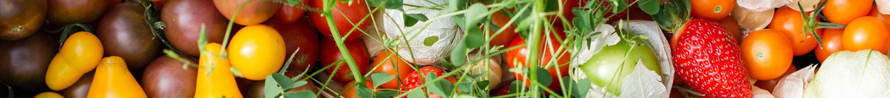 Close up with fruits, vegetables, and herbs.